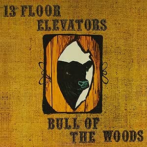 The 13th Floor Elevators – Bull Of The Woods - 2CD