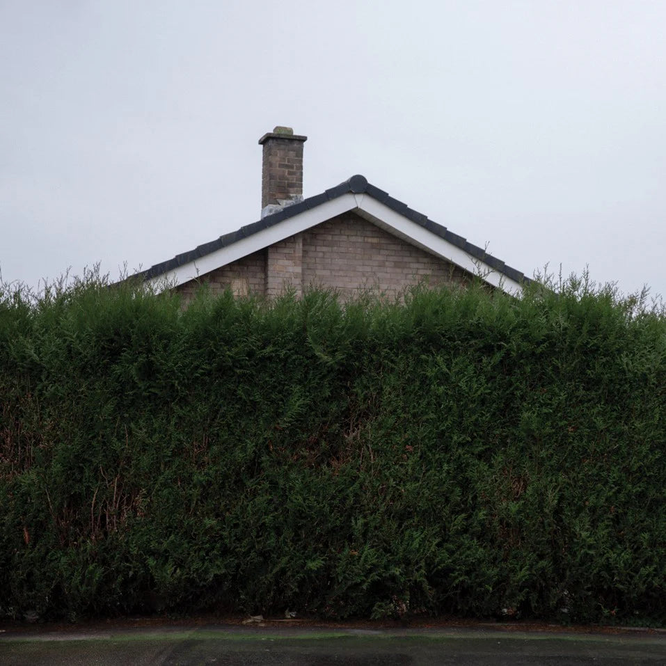 The 1975 - Still...At Their Very Best (Live From The AO Arena, Manchester) Ltd 3LP White Vinyl