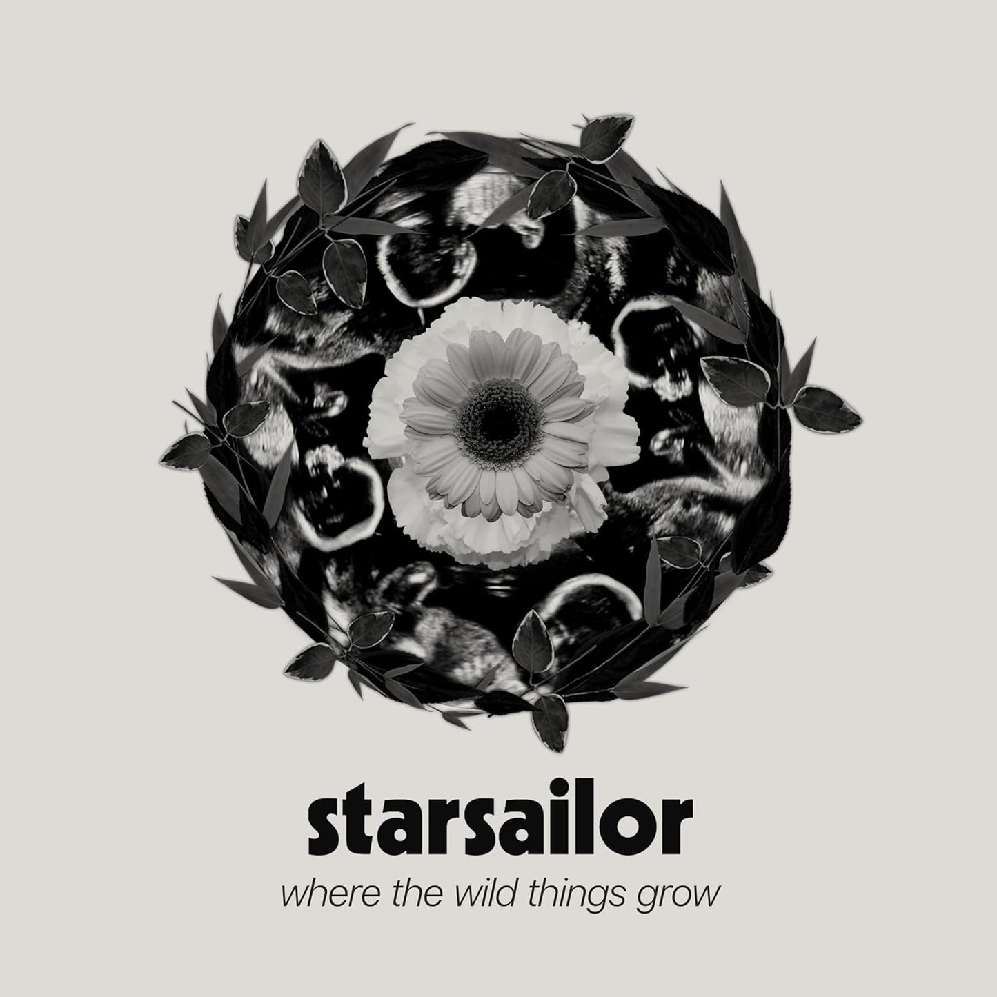 Starsailor - Where The Wild Things Grow : Vinyl