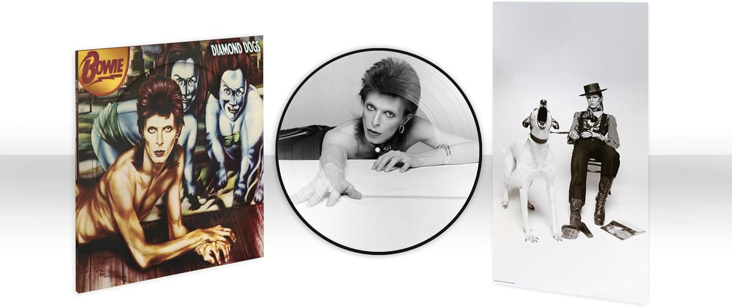 David Bowie - Diamond Dogs - 50th Anniversary Picture Disc Vinyl