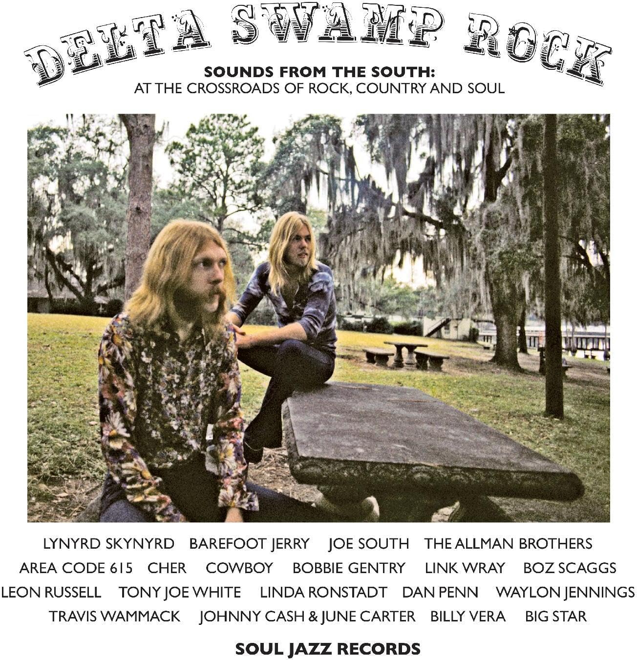Various - Delta Swamp Rock: Sounds From The South: 2LP Vinyl