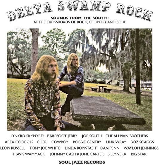 Various - Delta Swamp Rock: Sounds From The South: 2LP Vinyl