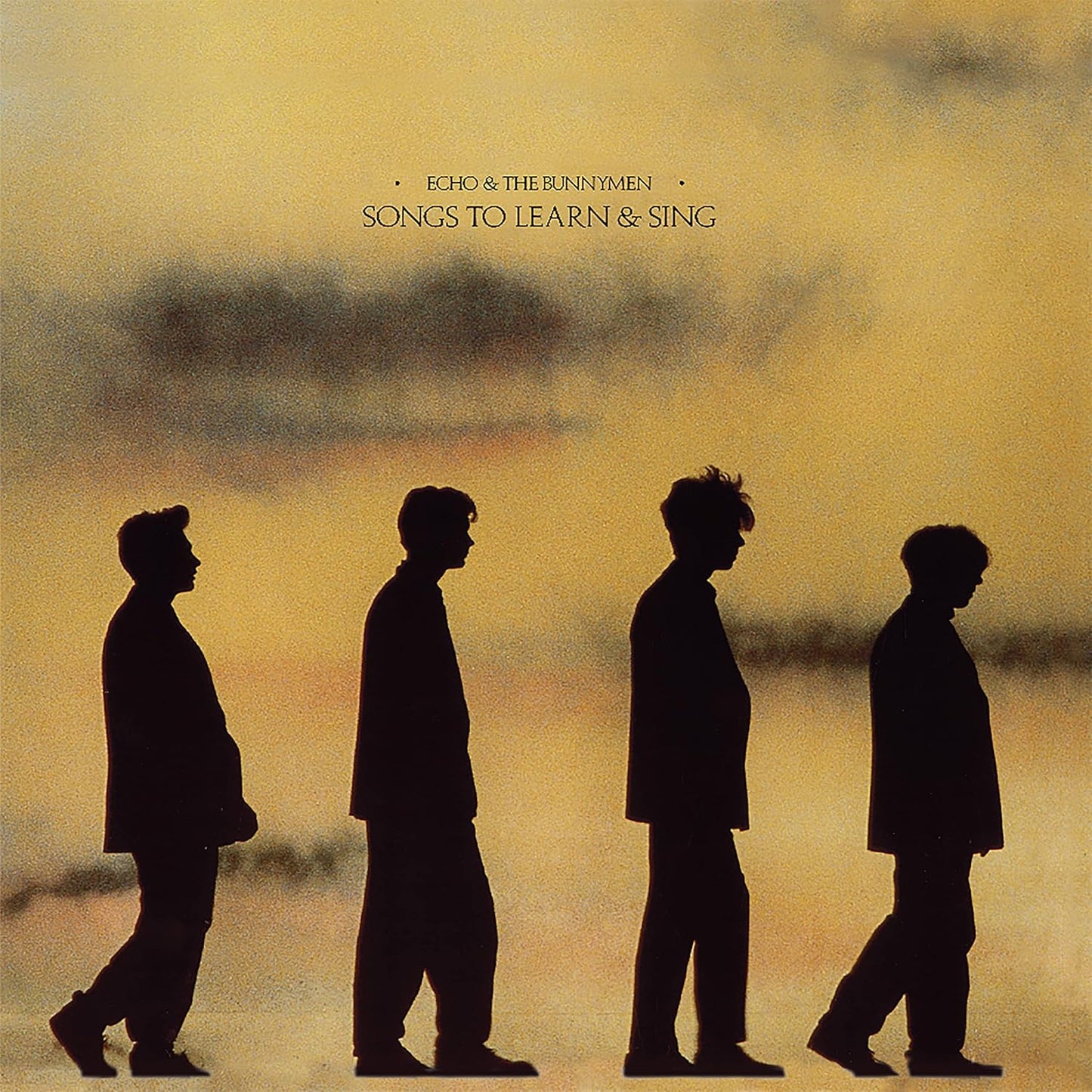 Echo And The Bunnymen - Songs To Learn And Sing - Vinyl