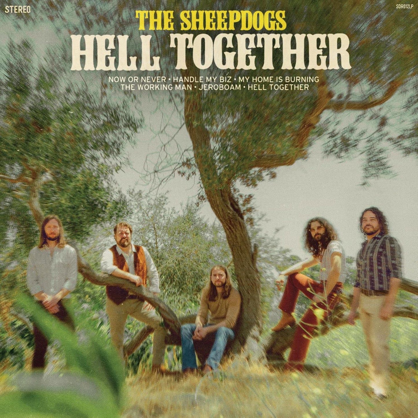 The Sheepdogs - Hell Together - CD EP