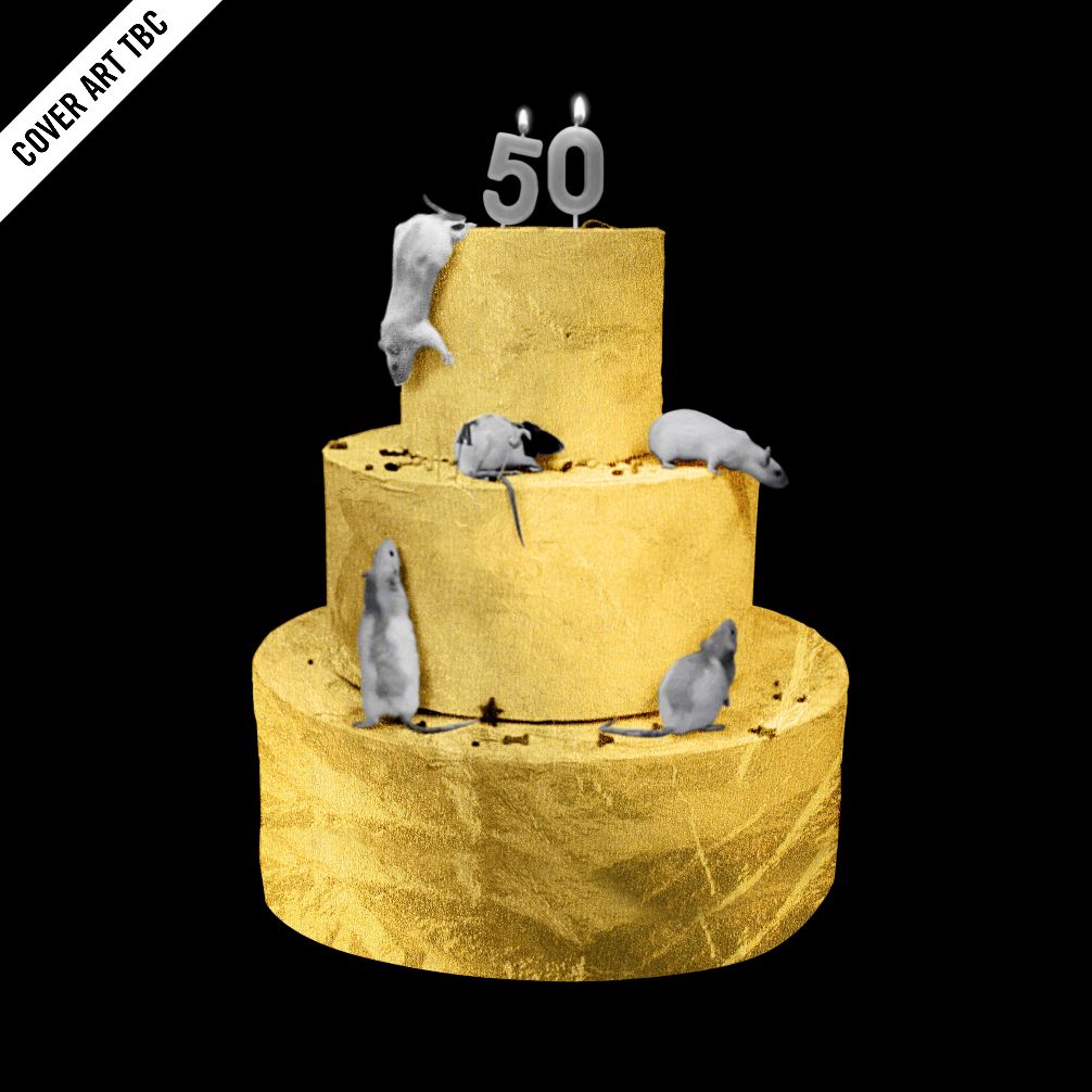 The Boomtown Rats - The First 50 Years: Songs Of Boomtown Glory - 2LP Vinyl