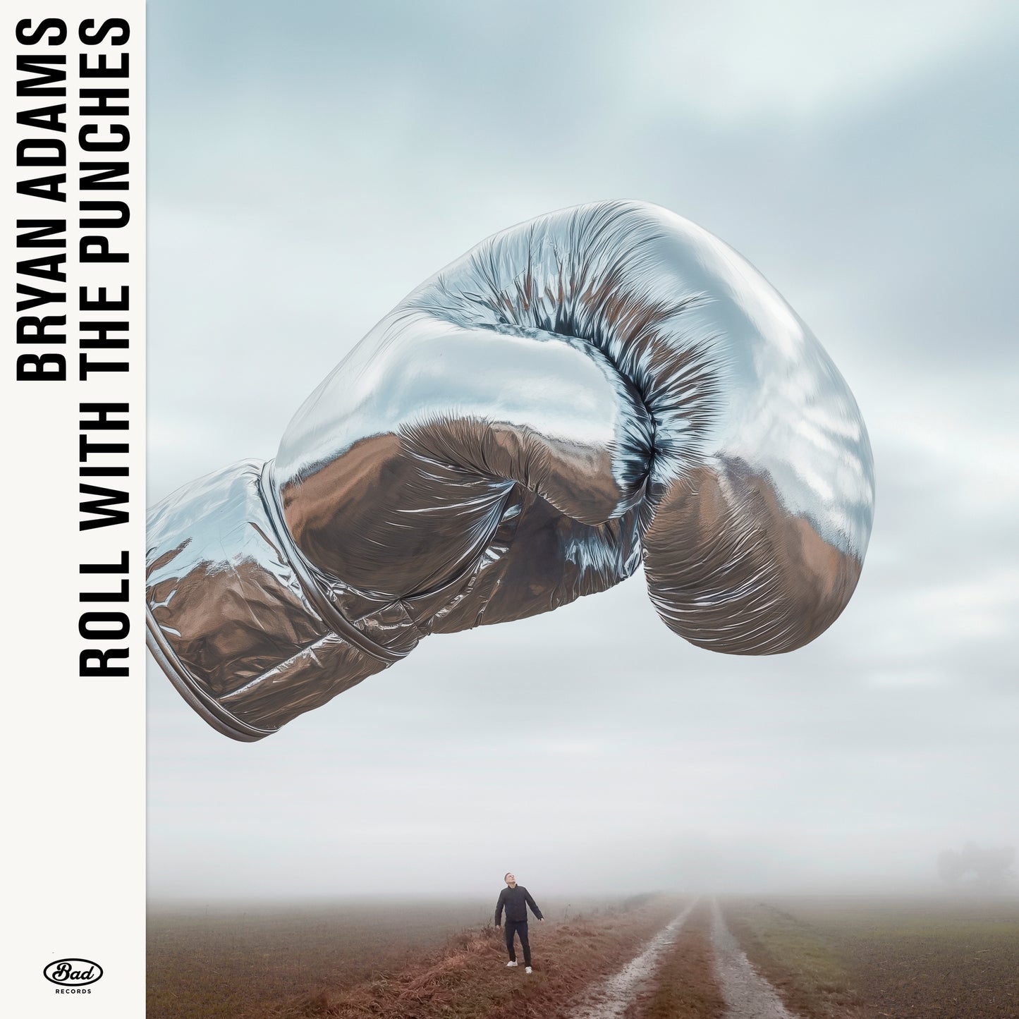 Bryan Adams - Roll With The Punches - CD