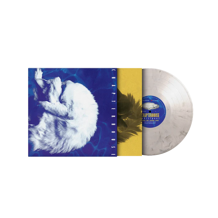 Chapterhouse - Whirlpool - Limited, Numbered White and Black Marbled Vinyl