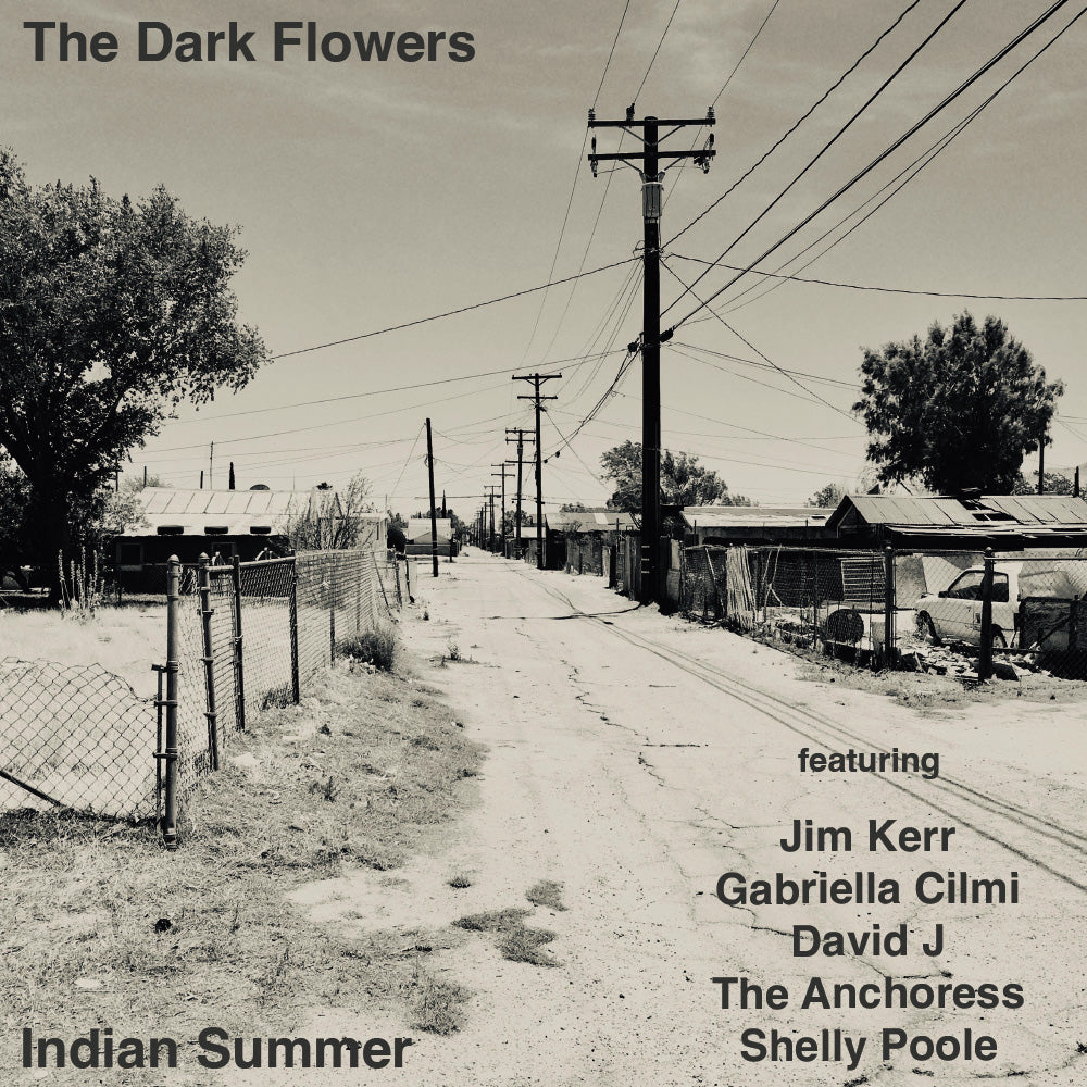 The Dark Flowers - Indian Summer - Vinyl