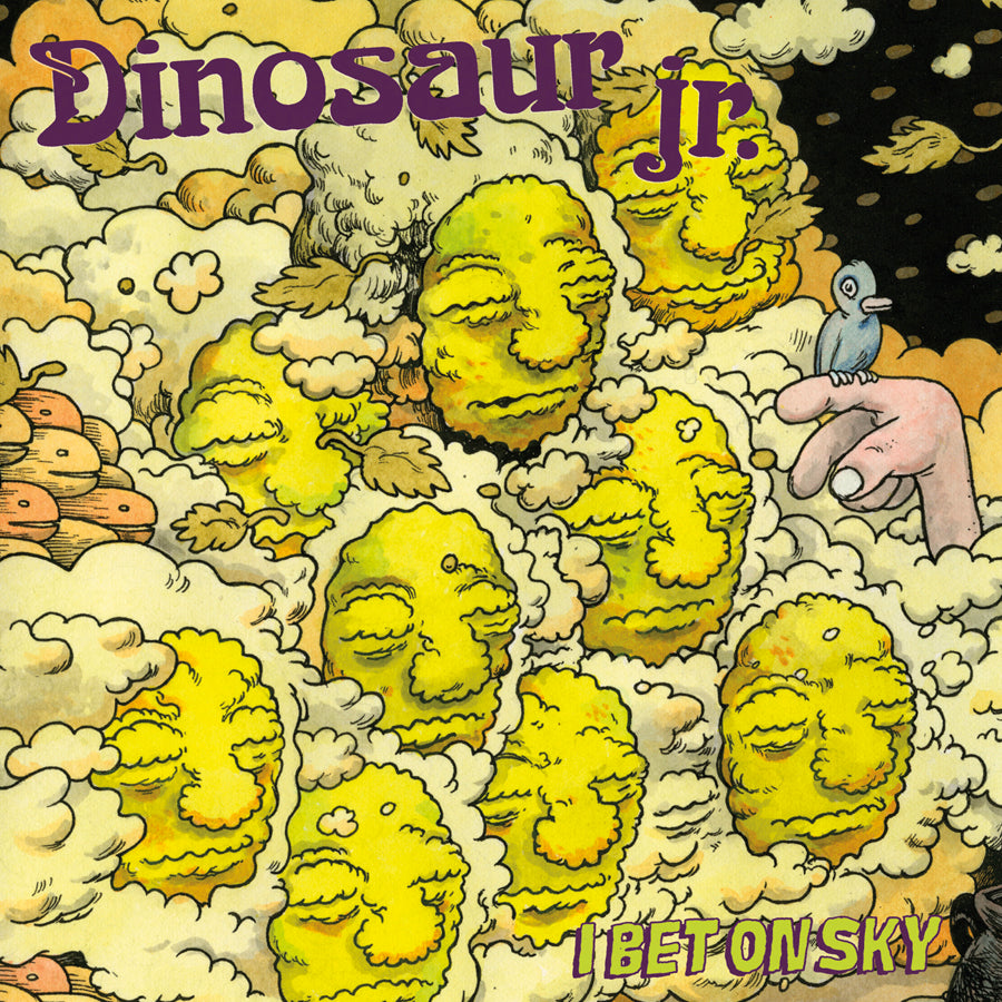 Dinosaur Jr. - I Bet On Sky - Vinyl
