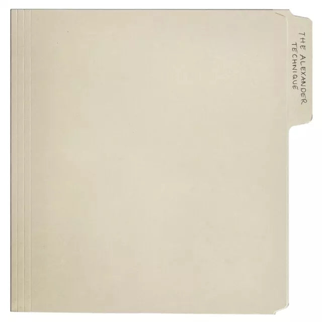 Rex Orange County - The Alexander Technique - 2LP Grey Smoke Vinyl