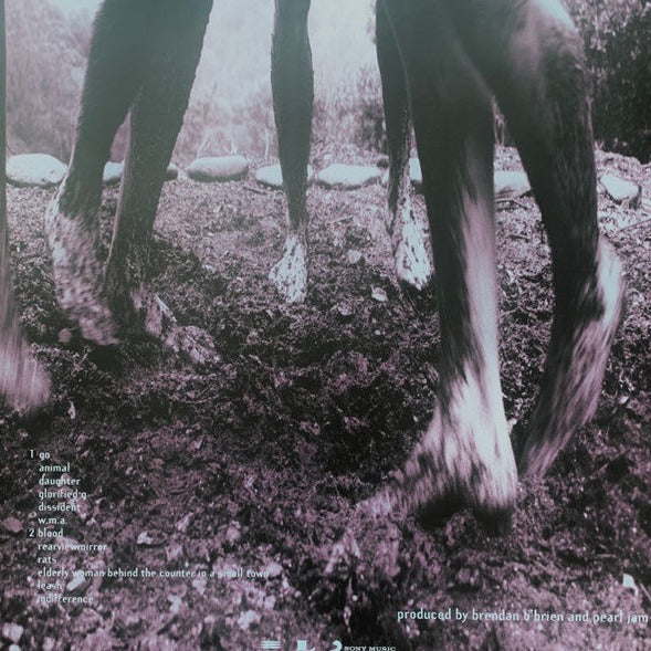Pearl Jam - Vs. : 30th Anniversary Clear Vinyl