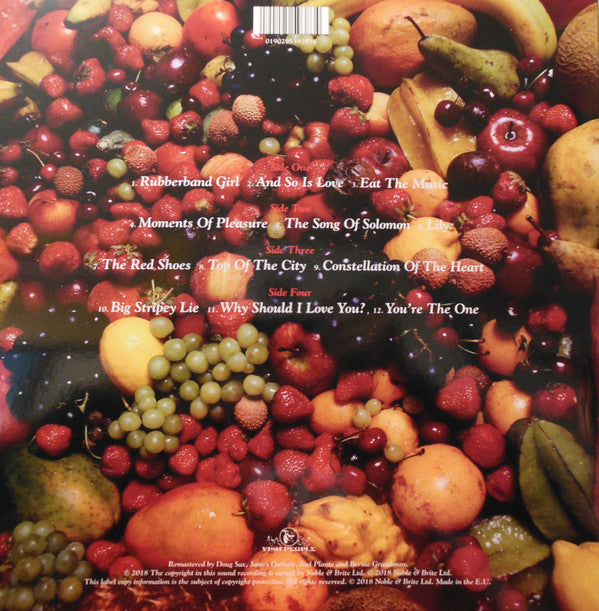 Kate Bush - The Red Shoes - 2LP Remastered Vinyl