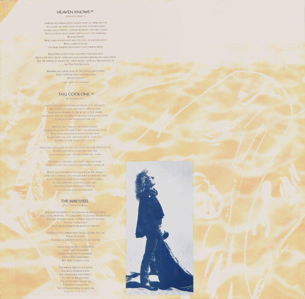 Robert Plant - Now And Zen (LP, Album)