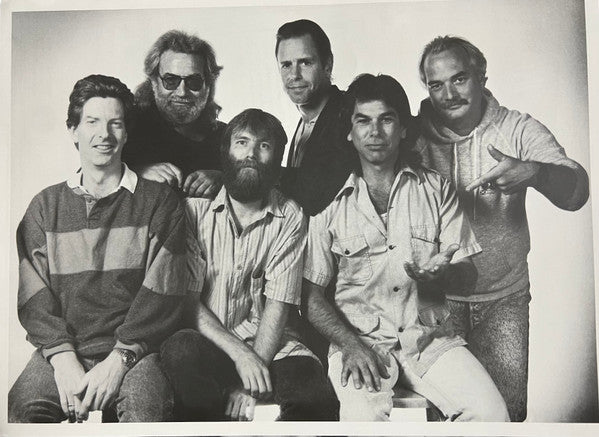 The Grateful Dead - Built To Last - Remastered Vinyl