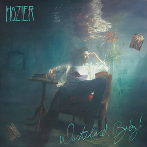 Hozier - Wasteland, Baby : 5th Anniversary Ultra Clear & Transparent Vinyl