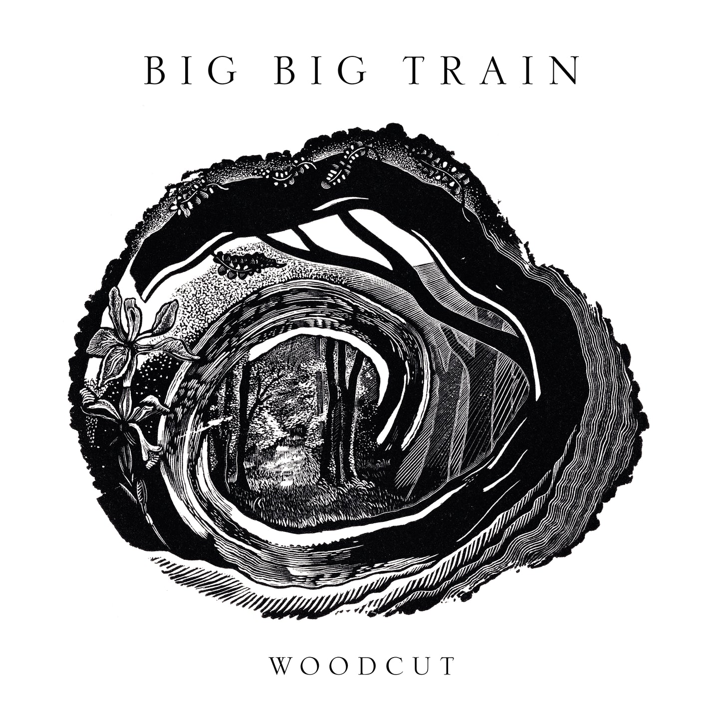 Big Big Train - Woodcut - CD