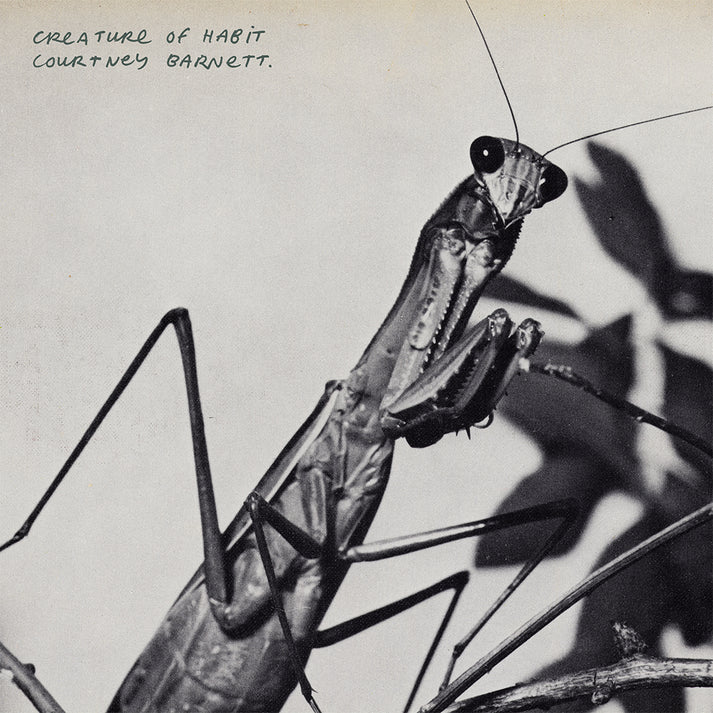 Courtney Barnett - Creature Of Habit - 'Another Beautiful Day' Caramel Coloured Vinyl
