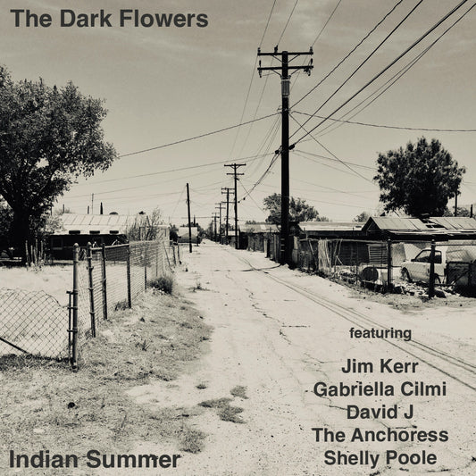 The Dark Flowers - Indian Summer - Vinyl