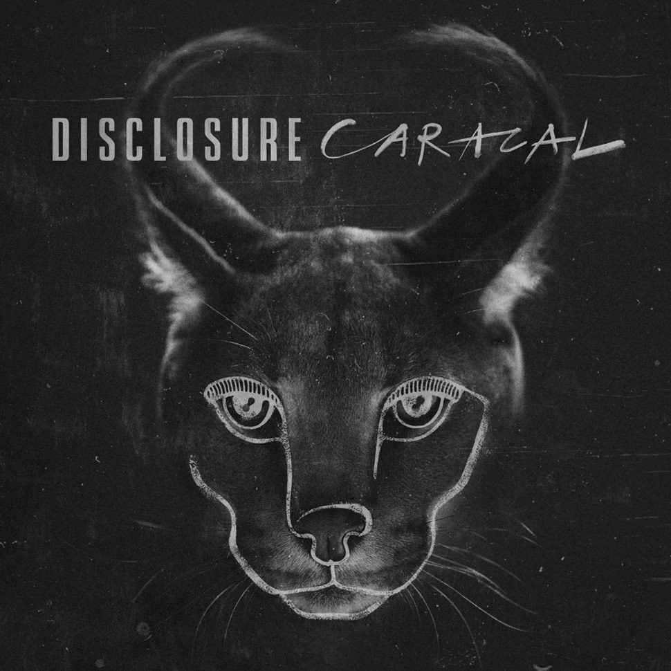 Disclosure - Caracal (10th Anniversary Edition) 2LP Zoetrope vinyl [Limited Edition]