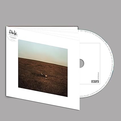 Fink - The City Is Coming To Erase it All - CD