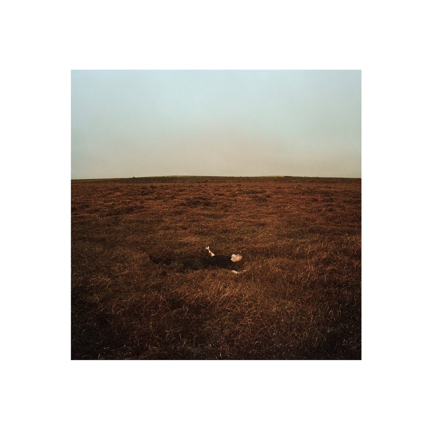 Fink - The City Is Coming To Erase it All - Winte Gorse Vinyl