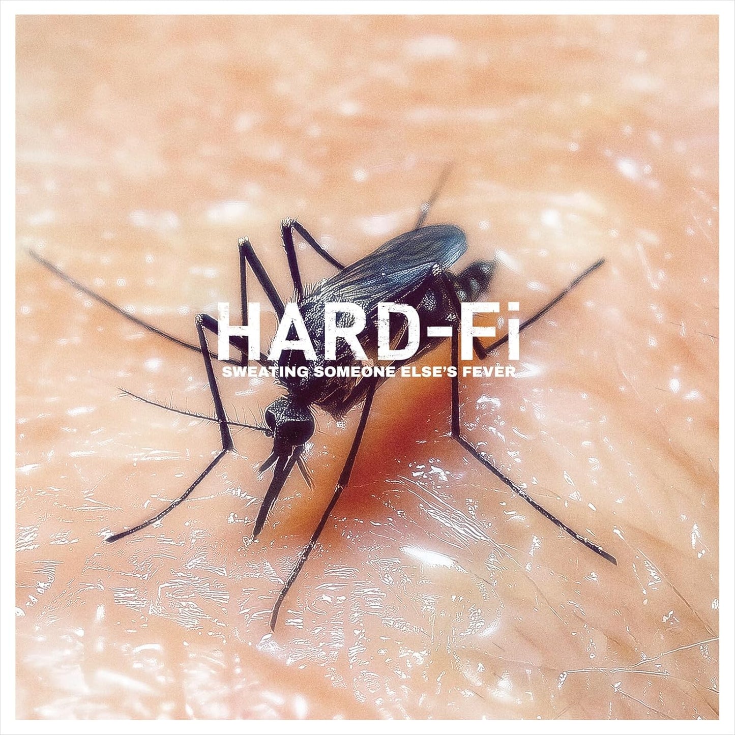 Hard-Fi - Sweating Someone Else's Fever - CD