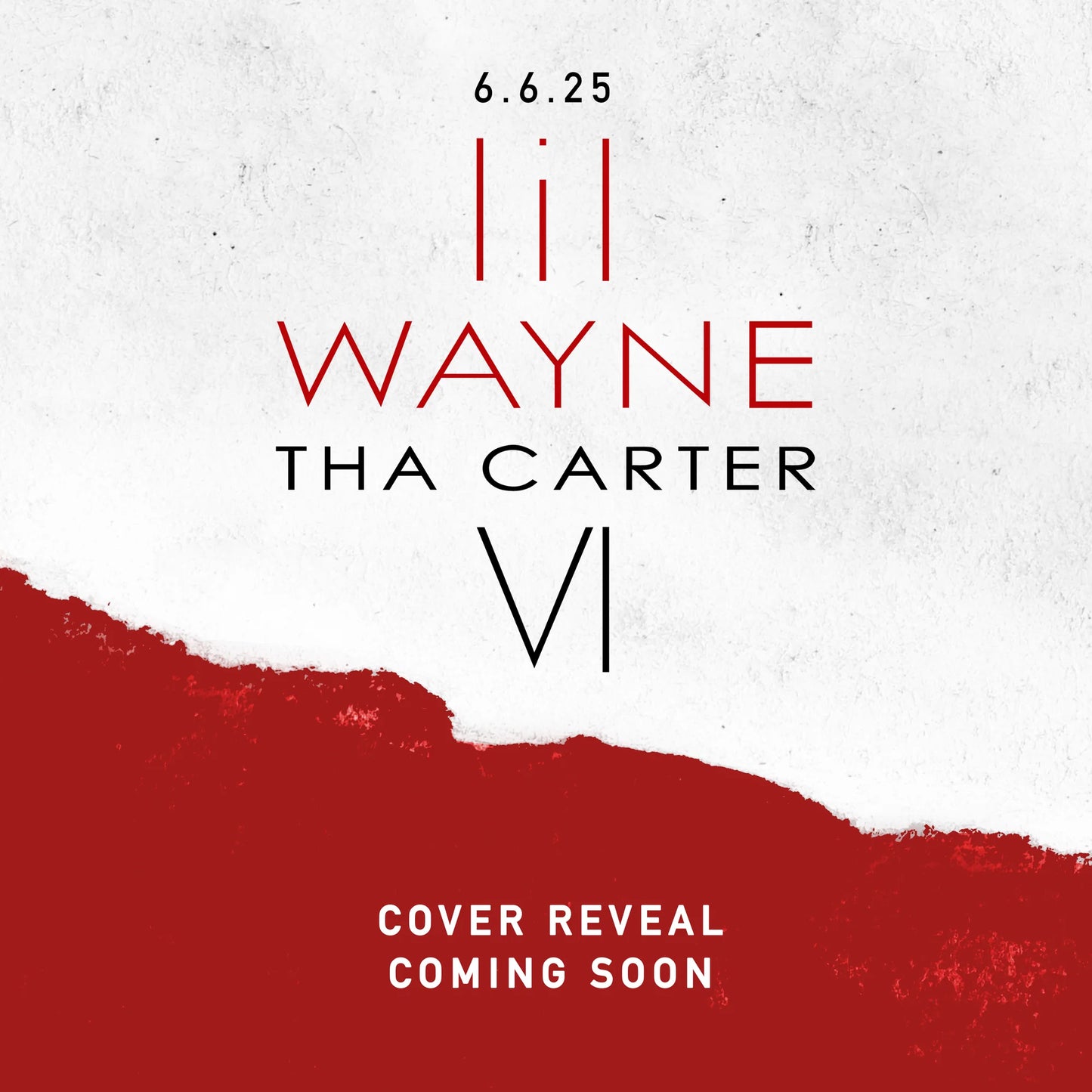 Lil Wayne - The Carter VI - Black Vinyl