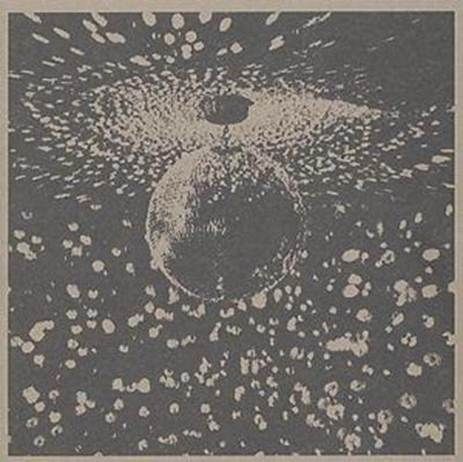 Neil Young - Mirror Ball - 2LP 140g Vinyl