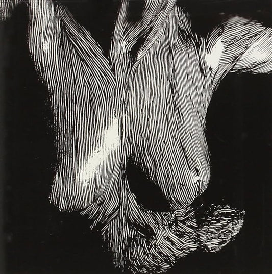Oceansize - Self Preserved While The Bodies Float Up (15th Anniversary Edition) - 3LP Black Vinyl