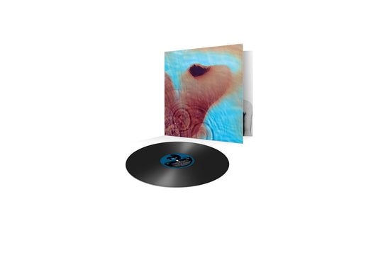 Pink Floyd - Meddle - Vinyl Re-Issue