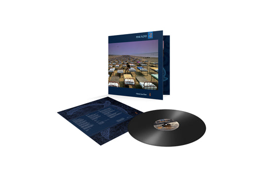 Pink Floyd - A Momentary Lapse of Reason - Vinyl