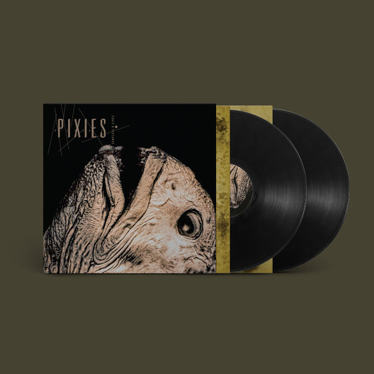 Pixies - Complete B Sides: 1988-97 (Remastered) - 2LP Black Vinyl
