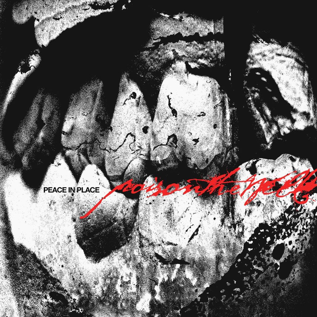 Poison The Well - Peace In Place - CD