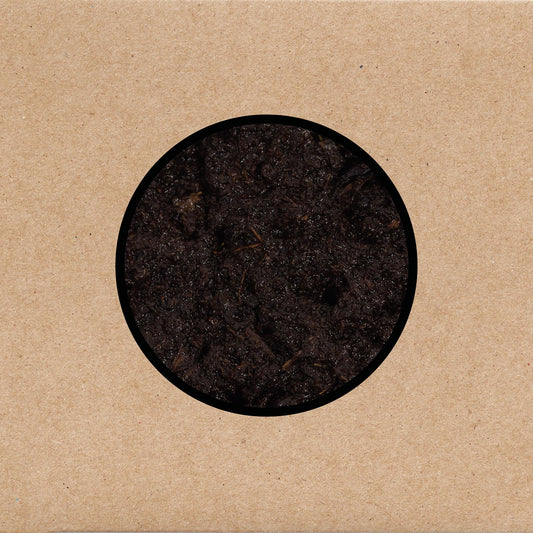 SWANS - BIRTHING - 2CD