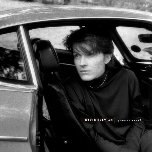 David Sylvian - Gone To Earth - 2LP Corona White, Brown Opaque Black Vinyl