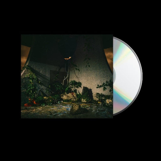 THE PLOT IN YOU - The Plot In You - CD