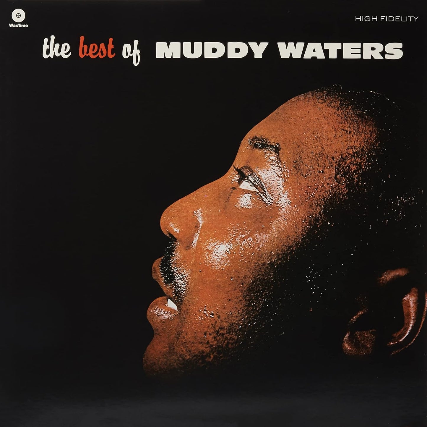 Muddy Waters - The Best Of - 180g Vinyl (Audiophile Pressing)