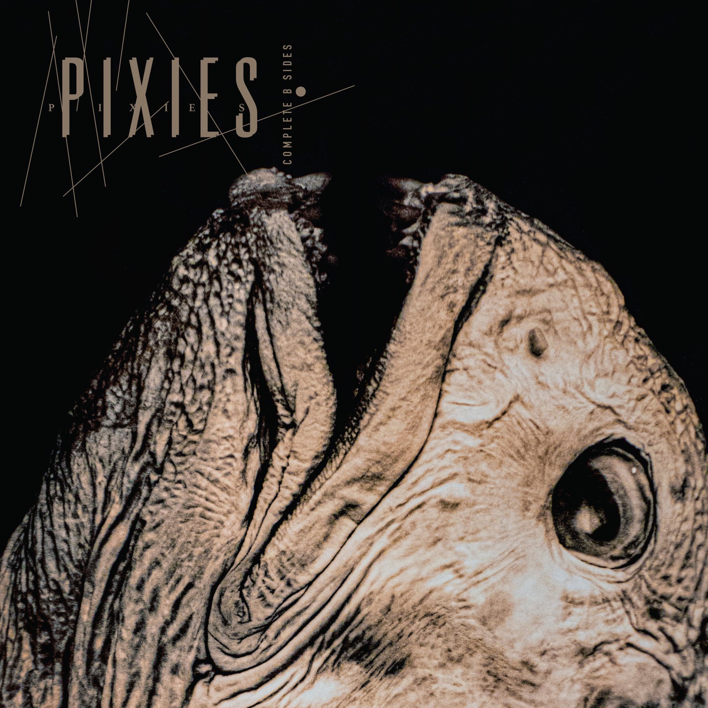 Pixies - Complete B Sides: 1988-97 (Remastered) - 2CD