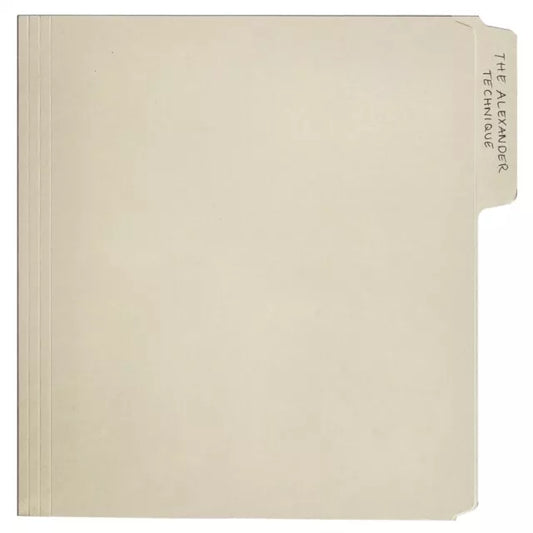 Rex Orange County - The Alexander Technique - 2LP Grey Smoke Vinyl