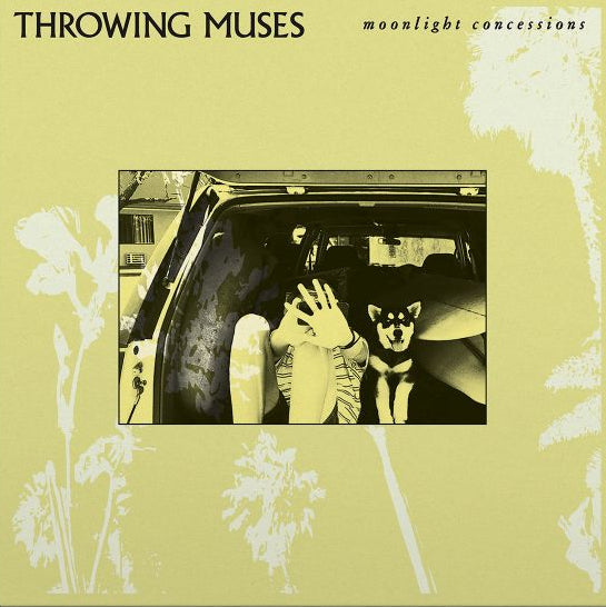 Throwing Muses - Moonlight Concessions - CD