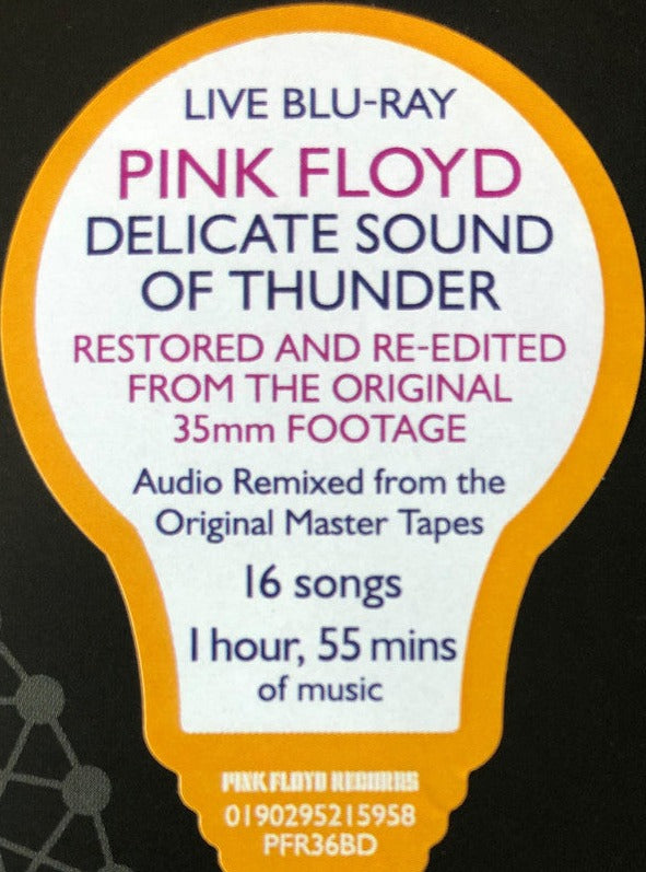 Pink Floyd - Delicate Sound Of Thunder : Blu-ray