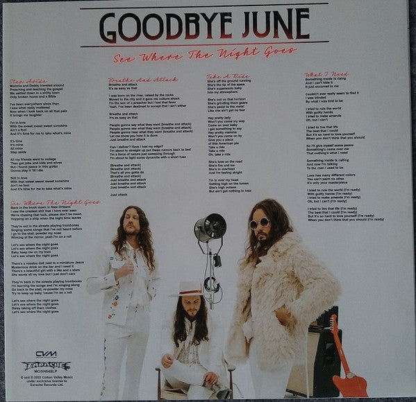 Goodbye June - See Where The Night Goes - Vinyl